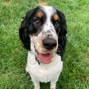 Meet your Posher, Judy